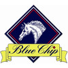 Blue Chip